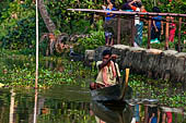 Kerala backwaters, our three hours neighborhood tour in the narrow canoe towards Vembanad Lake and along one of the  narrow canal running near our guest house at Kumarakom. 